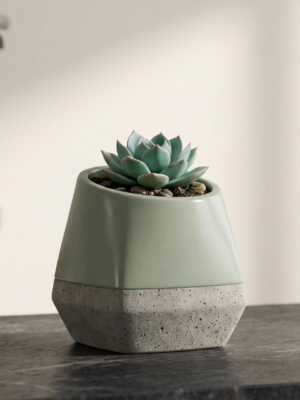 Sage Harmony Planter Set