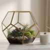 Modern Brass Geometric Glass Terrarium
