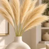 Dried Grass Stem Bunch (10pcs) - product view 2