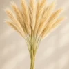 Dried Grass Stem Bunch (10pcs)