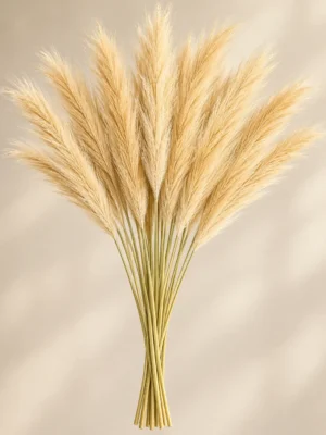ChatGPT Image Sep 10, 2026, 05_05_49 PM (1) Dried Grass Stem Bunch (10pcs)