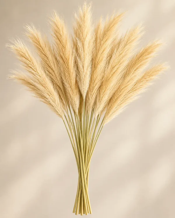 Dried Grass Stem Bunch (10pcs)