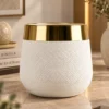 White Ceramic Planter with Gold Rim