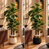 img_4156 70 inch Tall Artificial Floor Plant